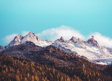 开云官网：开启品质生活的全新入口